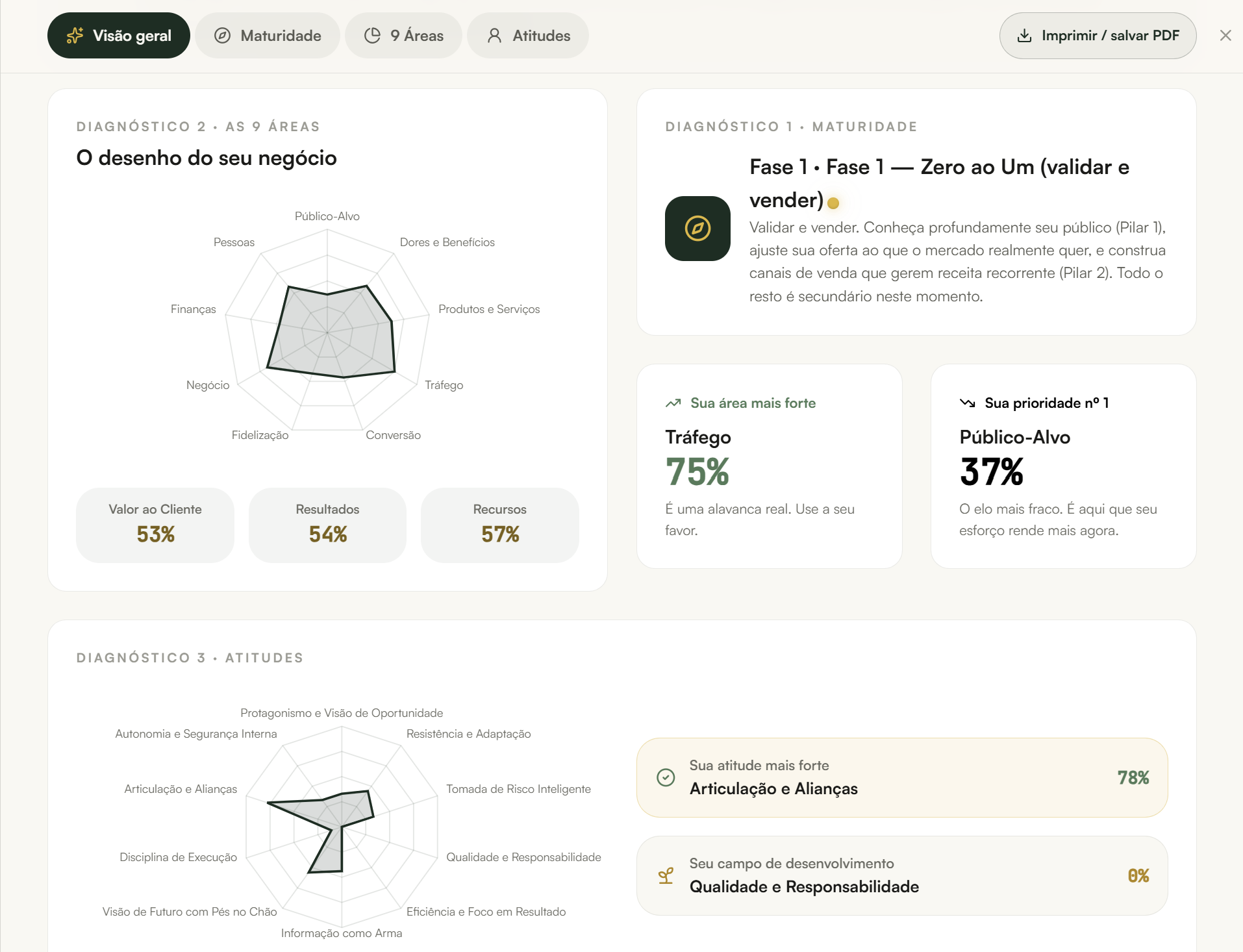 Tela do Flouu com os diagnósticos de maturidade, 9 áreas e atitudes